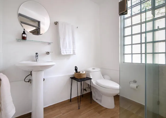 Senda Condesa Apartment Mexico City